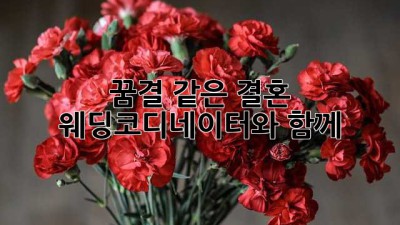 꿈결 같은 결혼, 웨딩코디네이터와 함께👰‍♀️🤵‍♂️✨